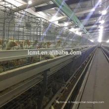 Cages de poulet de poulet de ferme de Poutry à vendre